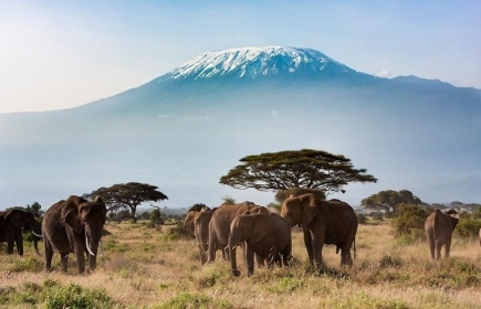 Mt. Kilimanjaro (Foto Tourentipp)